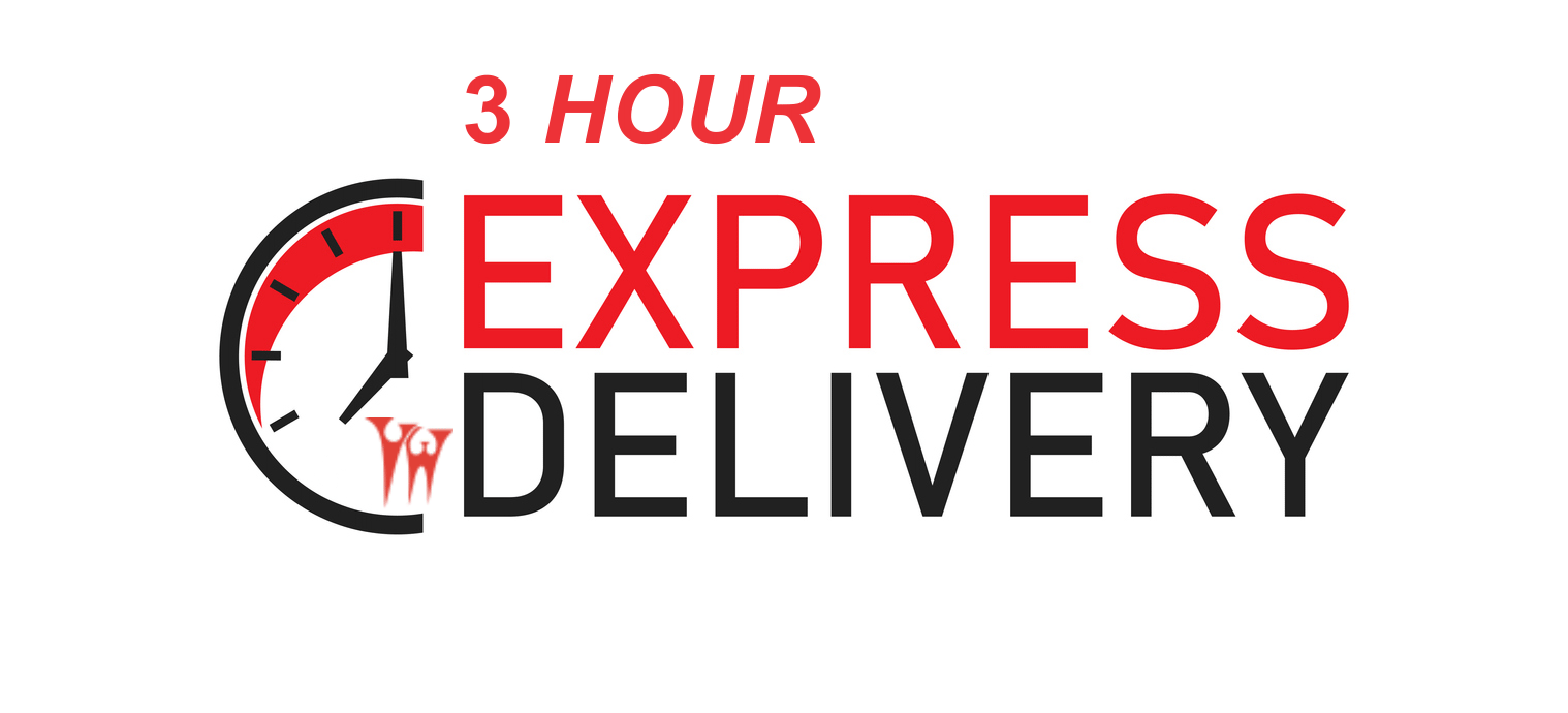 vwexpress-courier-toronto-3-hour-rush-delivery-icon